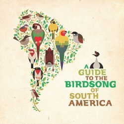 VA / A Guide to the Birdsong of South America