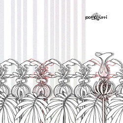 Pot-pourri（ポプリ） / Eraser, Pencil