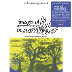 Joel Vandroogenbroeck / Images of Flute in Nature