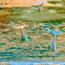 Kukangendai (空間現代) / Tracks