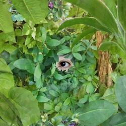 関根真理 / Beginning c/w Lena Willikens Remix