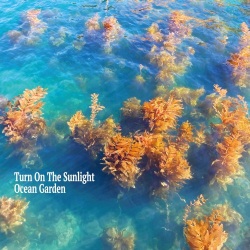 Turn On The Sunlight / Ocean Garden