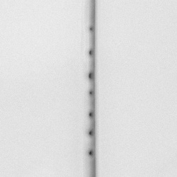 Rai Tateishi / Presence