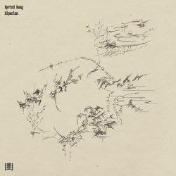 Eyvind Kang / Riparian