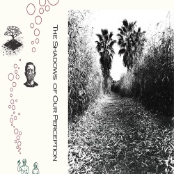 VA / The Shadows of Our Perception