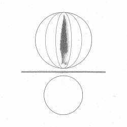 Stephen O'Malley / Spheres Collapser