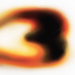 Still House Plants / If I don’t make it, I love u