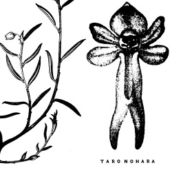 Taro Nohara / Poly​-​Time Soundscapes / Forest Of The Shrine