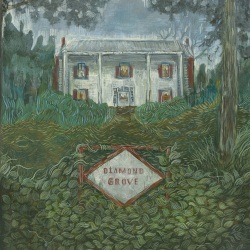 Weirs / Diamond Grove
