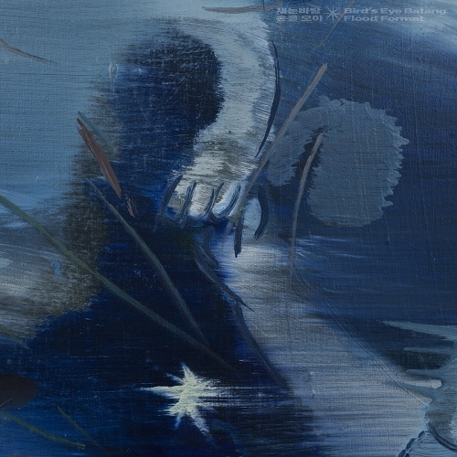 Bird's Eye Batang (a.k.a.公衆道徳、空中泥棒) / Flood Format (LP)