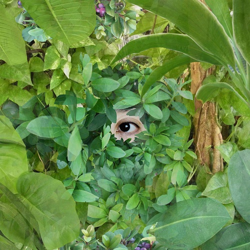 関根真理 / Beginning c/w Lena Willikens Remix