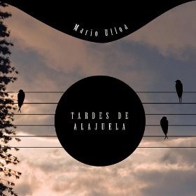 洋楽 Tardes De Alajuela Mario ulloa Mario Ulloa / Tardes De Alajuela (CD)