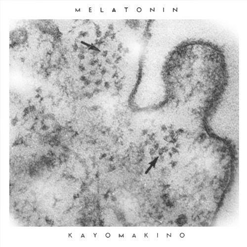kayo makino / melatonin