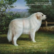 Douglas Andrew McCombs / VMAK<KOMBZ<<<DUGLAS<<6NDR7<<<