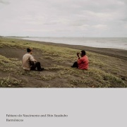Fabiano do Nascimento & Shin Sasakubo / Harmonicos