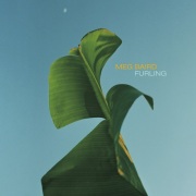 Meg Baird / Furling