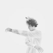 Gustavo Infante / Passaros