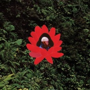Lionmilk / When The Flowers Bloom