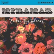 Miramar / Entre Tus Flores