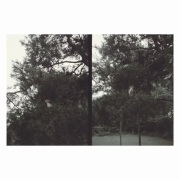 Okkyung Lee / just like any other day : background music for your mundane activities
