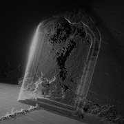 Visible Cloaks / Paradessence (LP)  ※Black Vinyl仕様