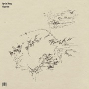 Eyvind Kang / Riparian