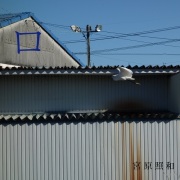 宮原照和 / ロ