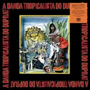 Rogerio Duprat / A Banda Tropicalista Do Duprat