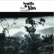Shin Sasakubo (笹久保伸) / Semilla de Alas (翼の種子)