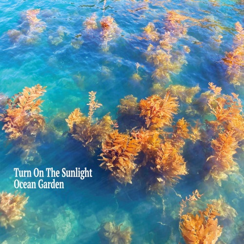 Turn On The Sunlight / Ocean Garden