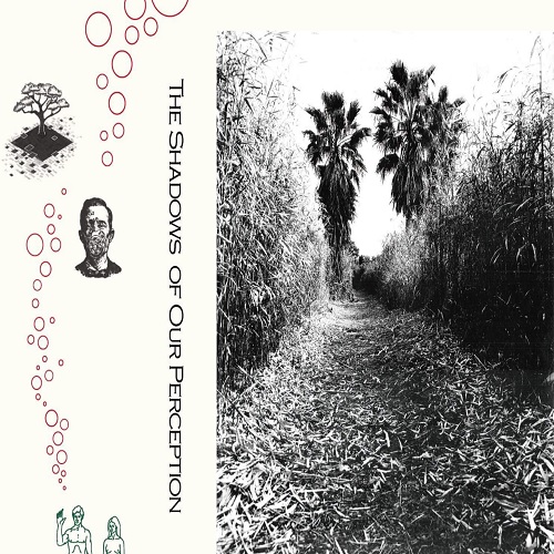 VA / The Shadows of Our Perception