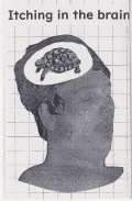 AMENONUVOCO / Itching in the Brain