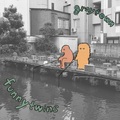 funnytwins / gray town (CD)
