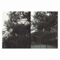 Okkyung Lee / just like any other day : background music for your mundane activities