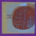 The Pastels / The Last Great Wilderness