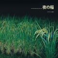 Reiko Kudo (工藤礼子) / Rice field silently riping in the night (夜の稲)