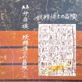 サヨ族 / 妖精博士の冒険
