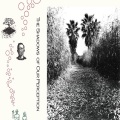VA / The Shadows of Our Perception