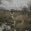 Sleeper's Bell / Clover