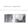 Steve Piccolo / Domestic Exile