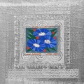 Tomo Katsurada and Jonny Nash / At The Emerald Pool (CD)
