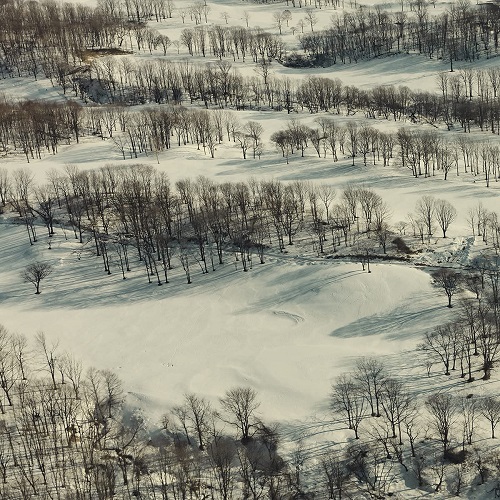 トウヤマ タケオ / 四辺は森として