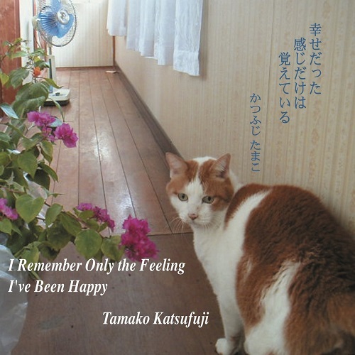 かつふじたまこ / 幸せだった感じだけは覚えている