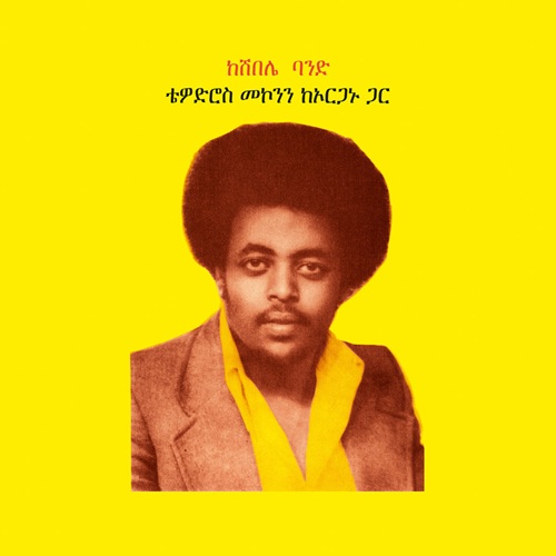 Teodros Makonnen /  Teodros Makonnen With His Organ (2LP)