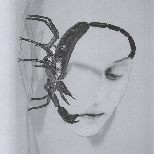 Tortoise / Touch (LP) ※Black Vinyl仕様