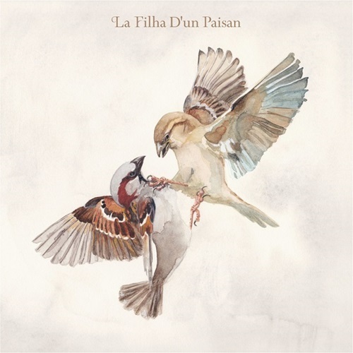 頭士奈生樹 (Naoki Zushi) / 現象化する発光素 (Phenomenal Luciferin