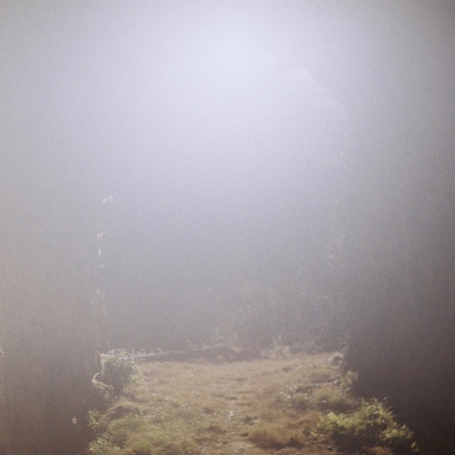 Shin Sasakubo (笹久保伸) & Joana Queiroz / Picture (LP)