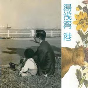 湯浅湾 / 港