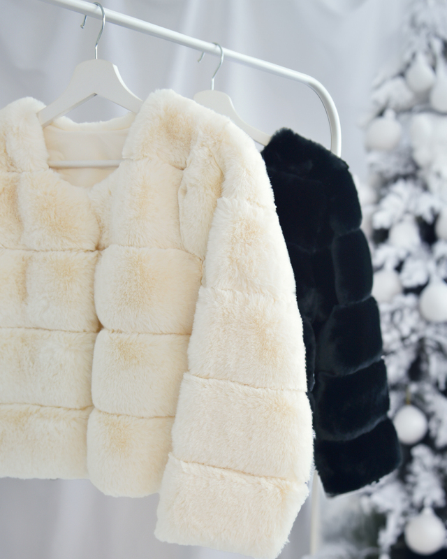 s063-img02.jpg?t=20241202115534 