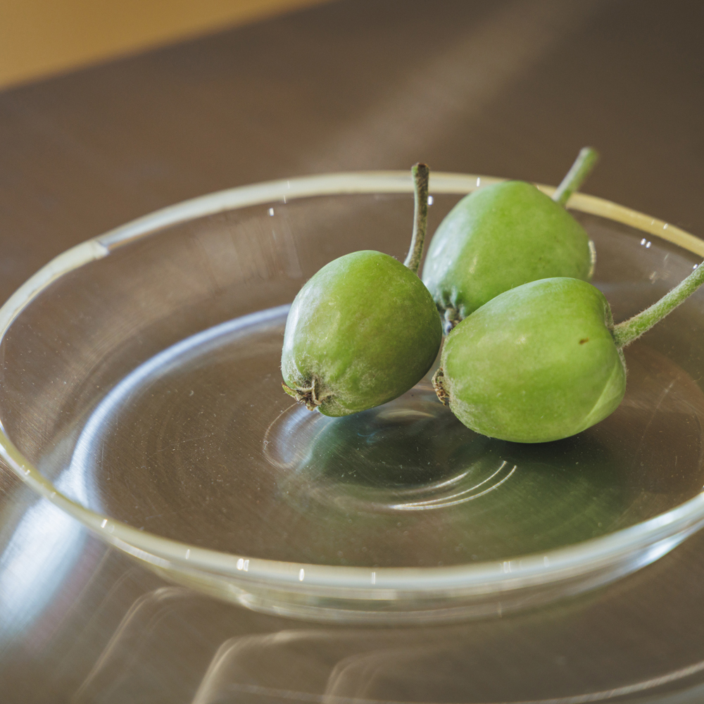 リュッケ プレート クリーム